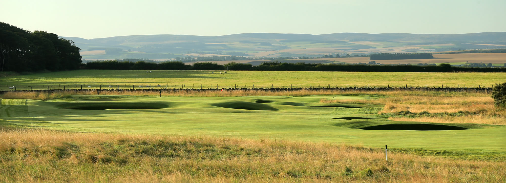 Muirfield 8th Green